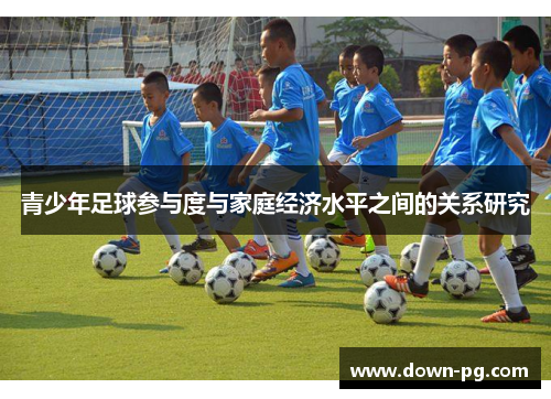 青少年足球参与度与家庭经济水平之间的关系研究
