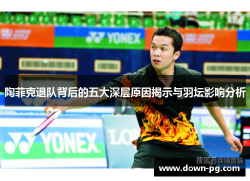 陶菲克退队背后的五大深层原因揭示与羽坛影响分析